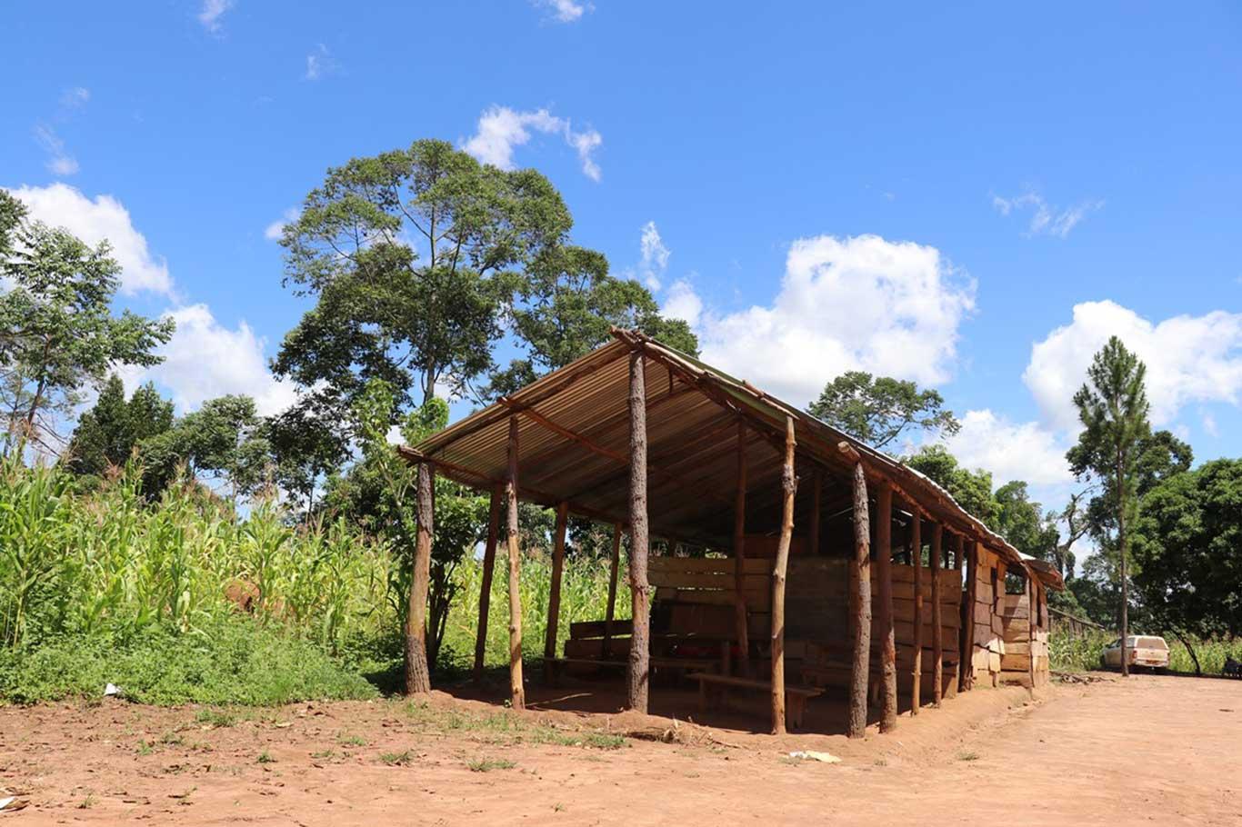 ​Uganda’da öğrenciler ağaç altında eğitim görüyor